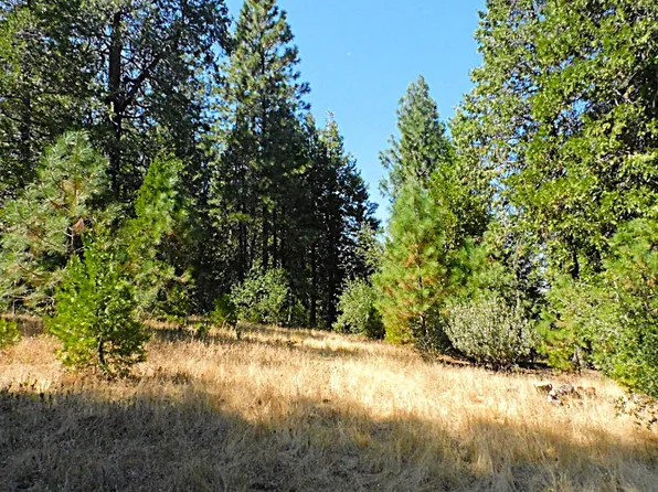 10 Woodland Ct, Placerville, CA 95667