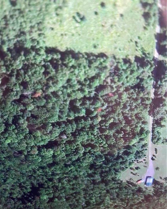 2nd image of 7513 Lulu Ln