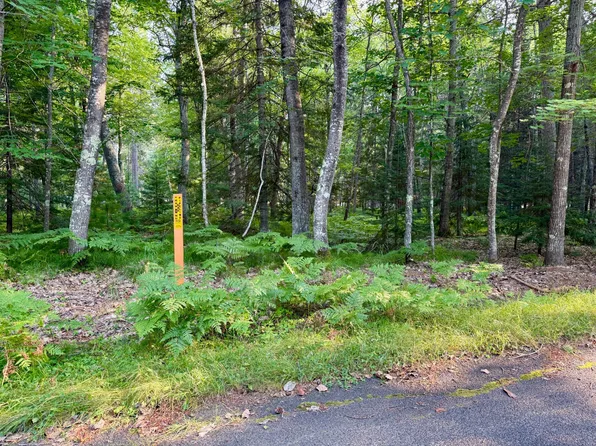 LOT On Hiawatha Cres N, Saint Germain, WI 54558
