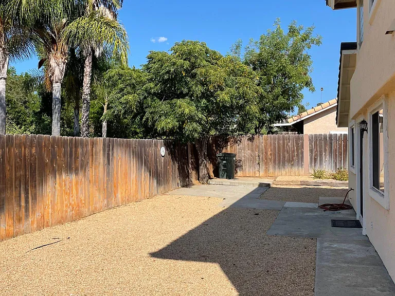Back yard