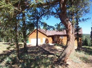 3707 Omer Ln, Divide, CO 80814