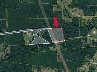0 Cottonwood Ln, Walterboro, SC 29488