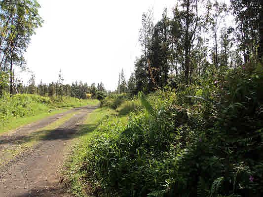 2nd image of 39th Ave Lot 36