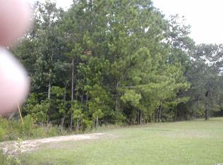 Leadwood St, Andrews, SC 29510