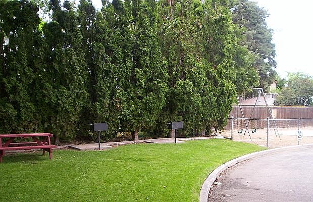 Picnic Table and Grills