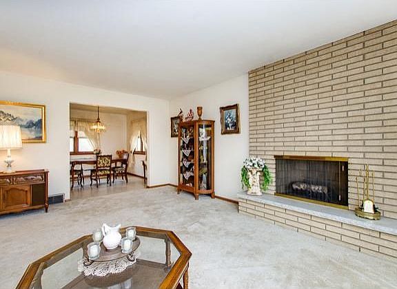 Wood burning fireplace