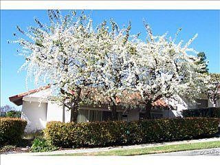 1st image of 760 Calle Los Olivos