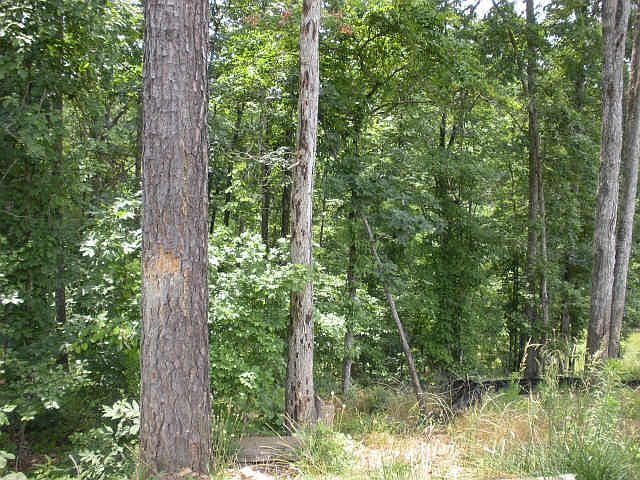 2nd image of 3829 Teesdale Ct