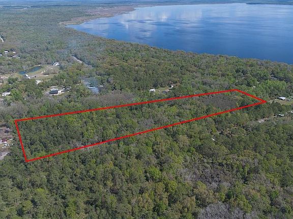 3rd image of Jungle Rd