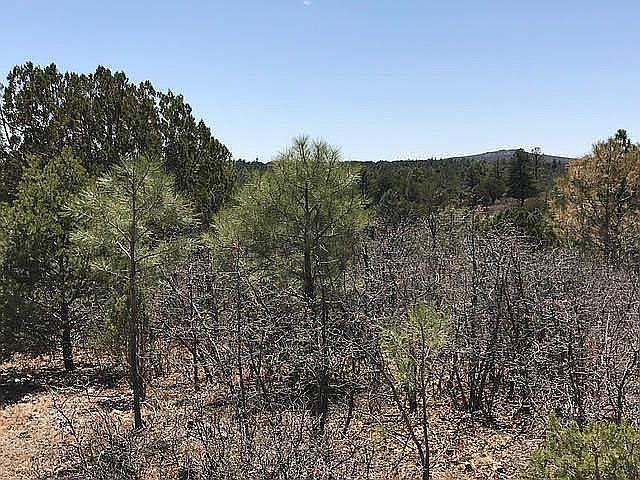 Winter Vvew looking north