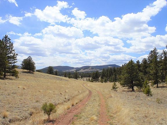 5th image of 4509 County Road 102