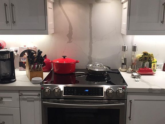 Induction Stove and Convection oven