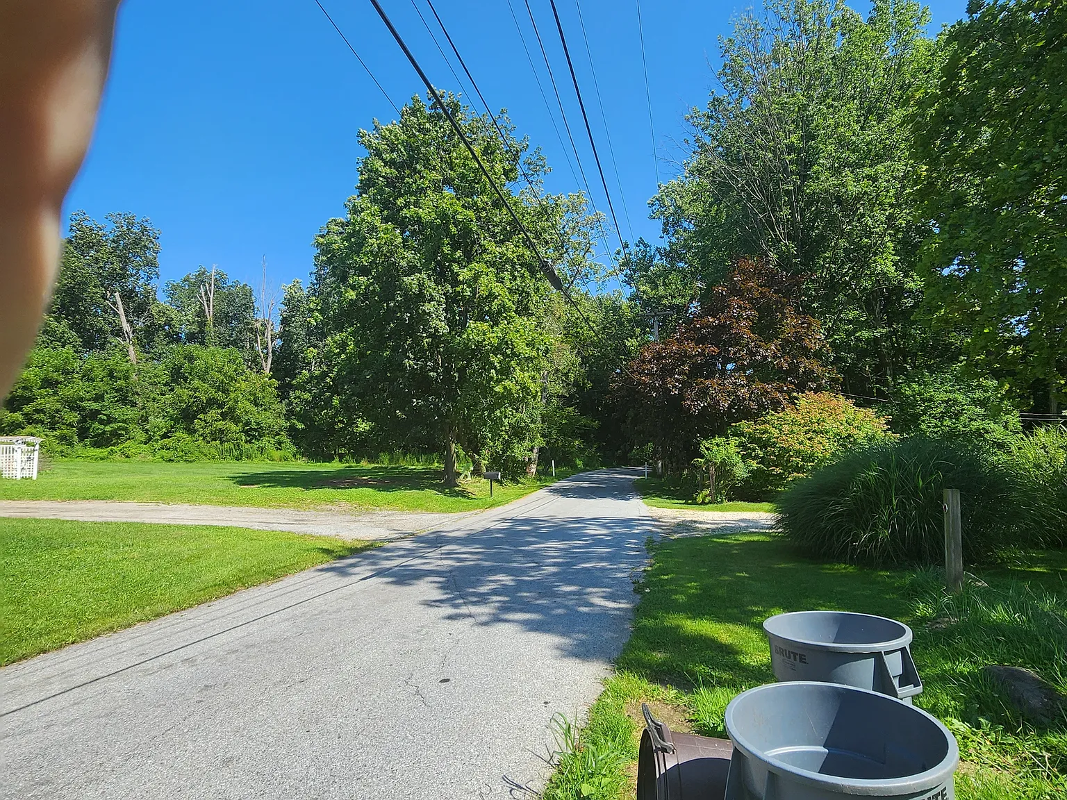 1503 Birdell Rd — Photo 2
