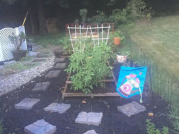 Side yard veggie garden 