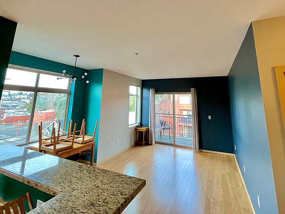 light-filled main living space from kitchen