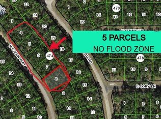 8599 N Stern Way, Citrus Springs, FL 34434