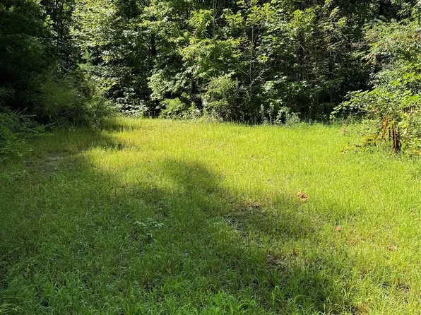 0 Birch Ln, Bryson City, NC 28713