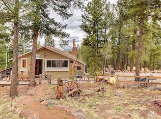 15 Deer Cir, Florissant, CO 80816