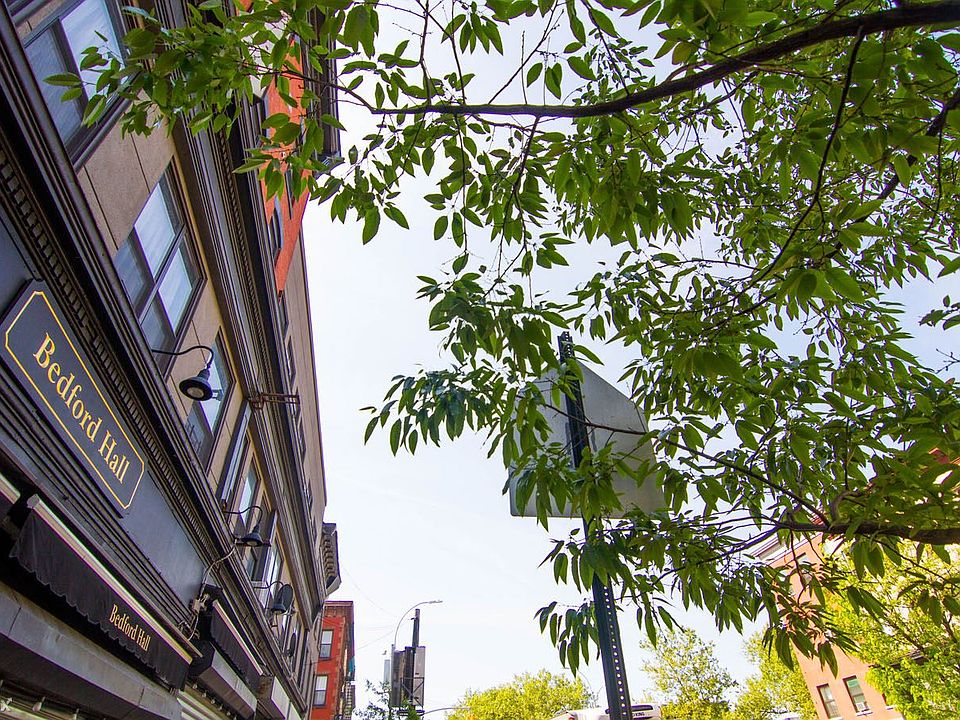 IMG_8243