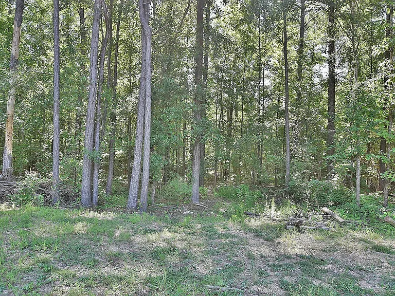 64 Camp Parkman Rd — Photo 19