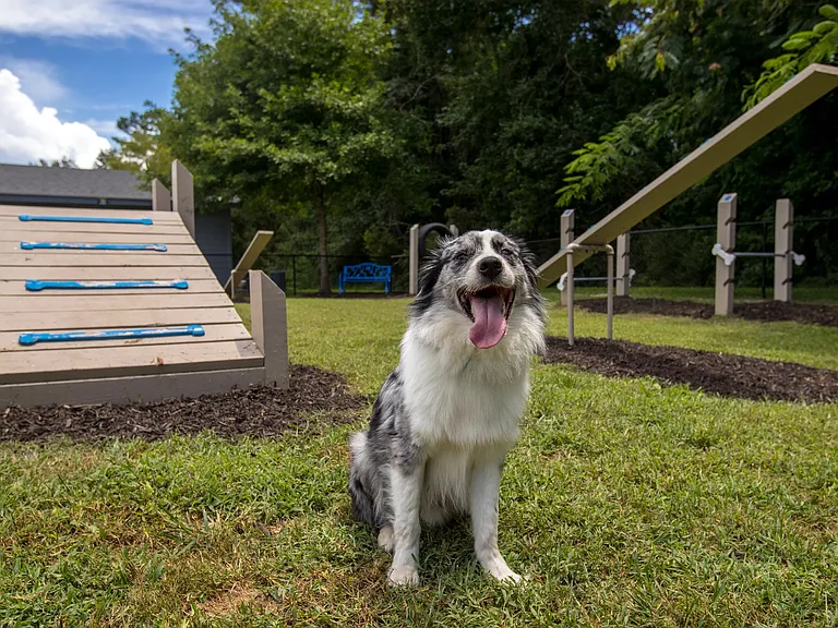 Unleash the fun! Our Bark Park is a haven for furry adventurers. Enjoy pet-friendly living at its finest.
