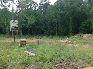 2722 Wildflower Way, Hoschton, GA 30548