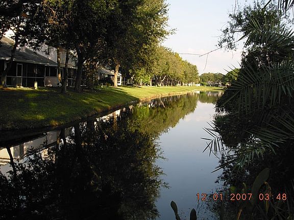 Pond View