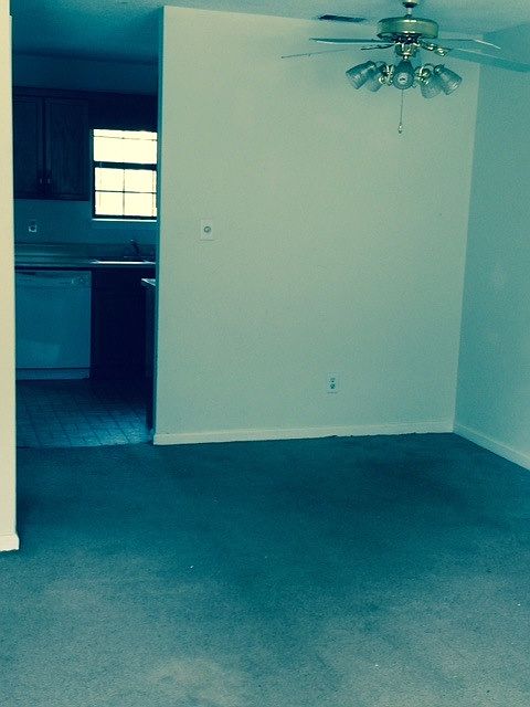 2nd image of 3719 Oakwood Hills Dr