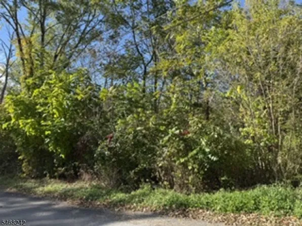 15 Hill St, Sussex Boro, NJ 07461