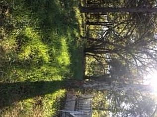 1st image of 95595 Leo Dr