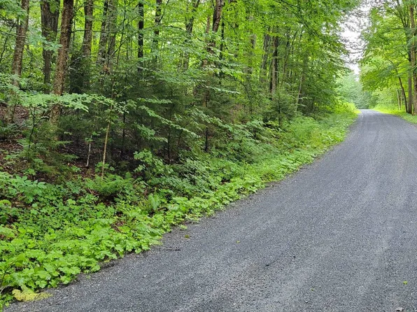 00 Heartwellville View Road #34/35, Readsboro, VT 05350