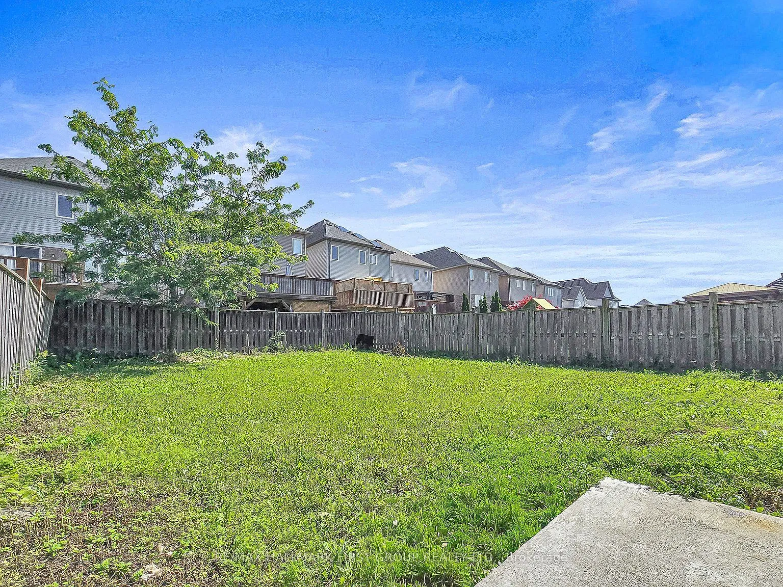 2 bed, $1,650 — Photo 3
