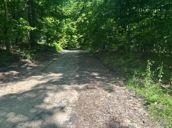 V/a Teal Rd, Pellston, MI 49769