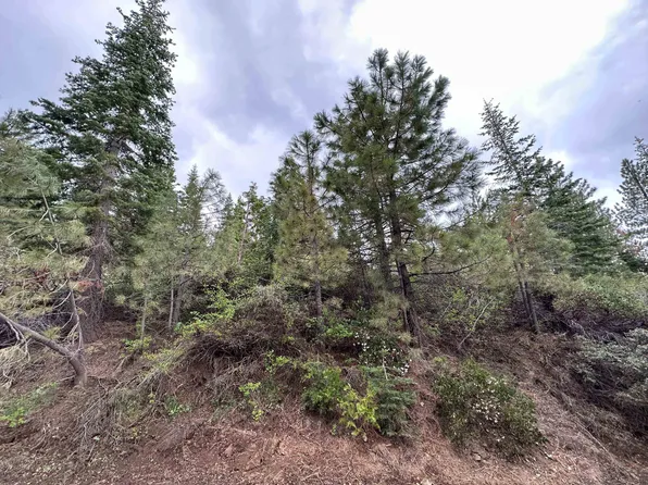 8044 Hemlock Dr, Portola, CA 96122