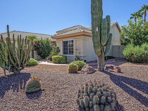 003_Beautiful Desert Front