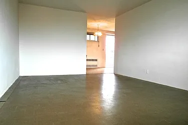 Sold by Cicada International LLC