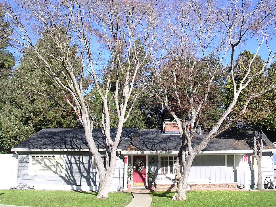 2nd image of 75 Lloyden Dr