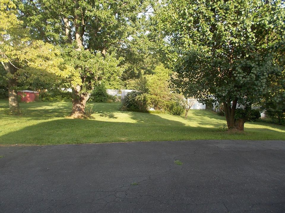 View of the back yard