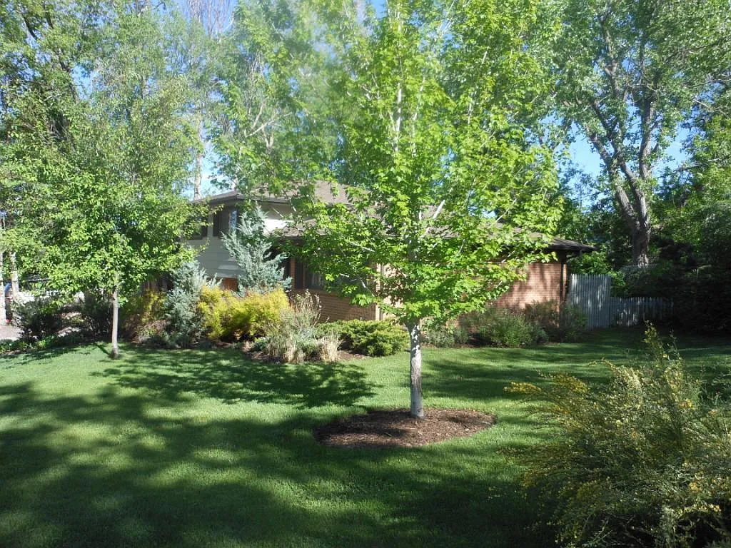 2990 Baylor Dr — Photo 3