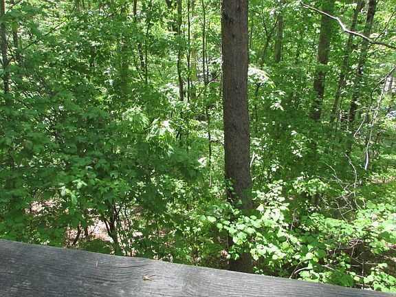 4th image of 2221 Forest Acres Dr #0