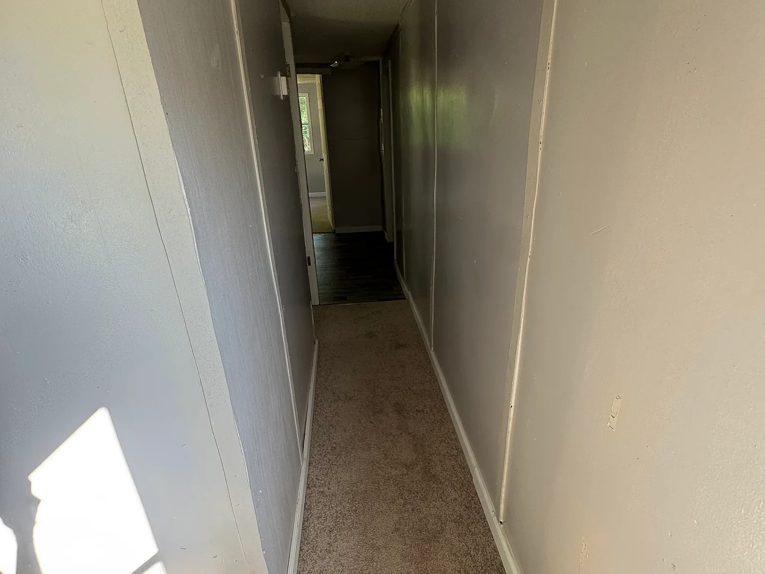 2 bed, $800 — Photo 3