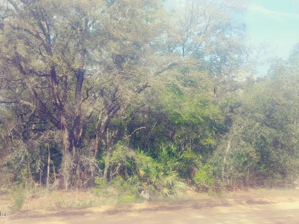 0930-0130 PAT Avenue, Interlachen, FL 32148