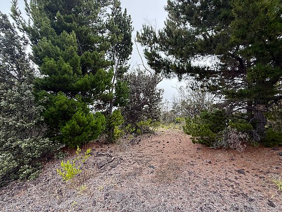 2nd image of Pineapple Pkwy Lot 26