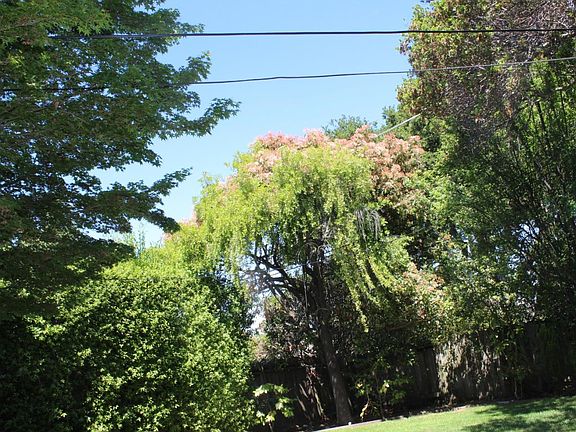 2nd image of 1231 Alameda De La Plugas St