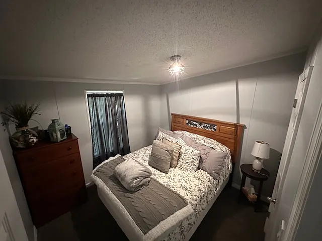 6829 Puffin Ln — Photo 9