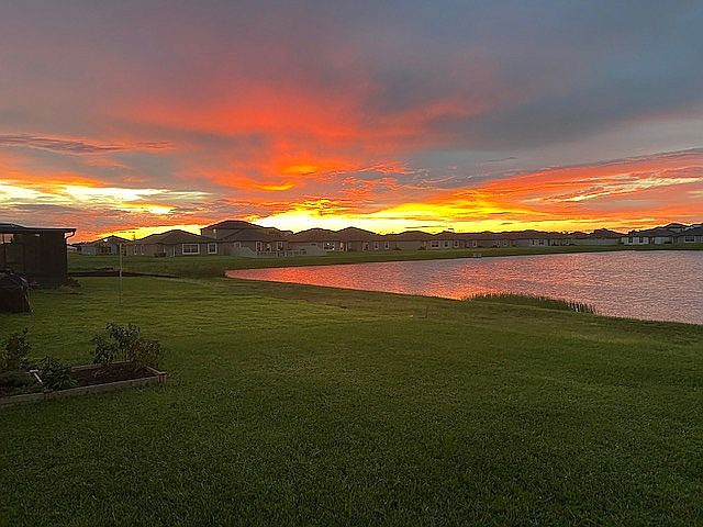 View from the backyard