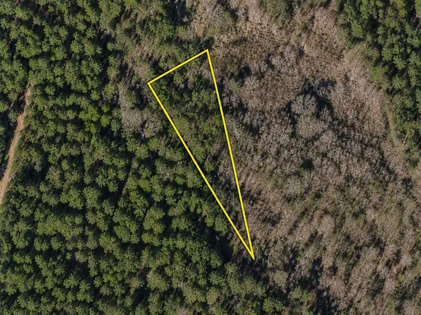 TBD Gibson Rd., Greeleyville, SC 29056