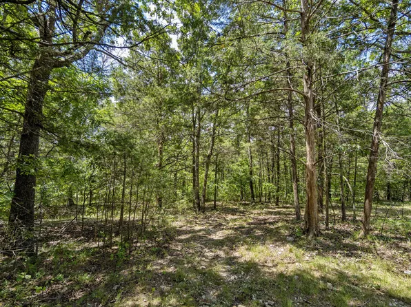130 Brittain Court, Kirbyville, MO 65679