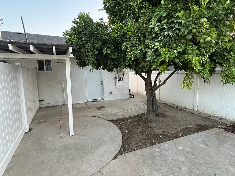Private Patio and Backyard