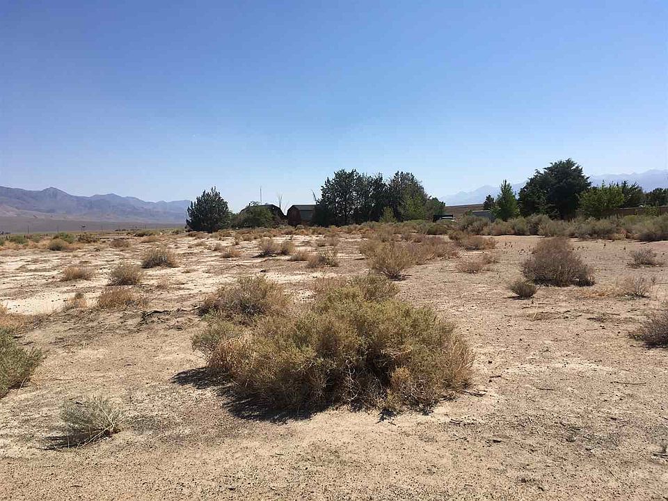 1st image of Buena Vista